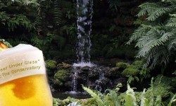 Beer Under Glass